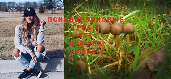 ешки Верхний Тагил