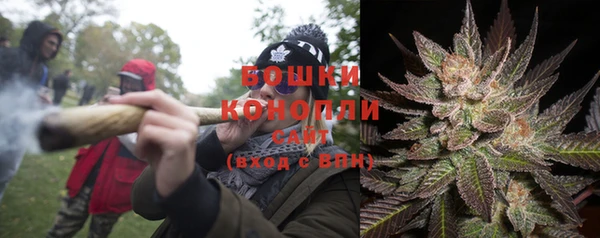 ешки Верхний Тагил